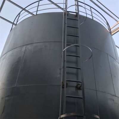 Torre di serbatoio di disintossicazione di anidride carbonica certificata ASME